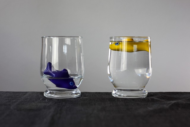 Hình ảnh minh họa ý nghĩa của từ distributive justice