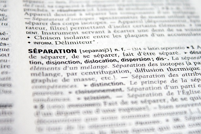 Hình ảnh minh họa ý nghĩa của từ disunity