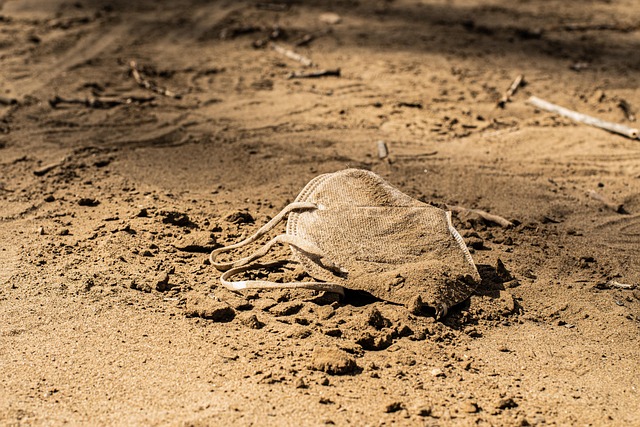 Hình ảnh minh họa ý nghĩa của từ divine mandate