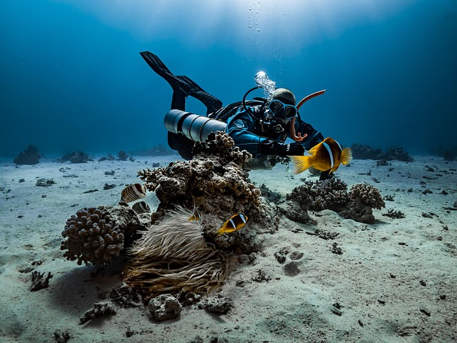 Hình ảnh minh họa ý nghĩa của từ diving gear