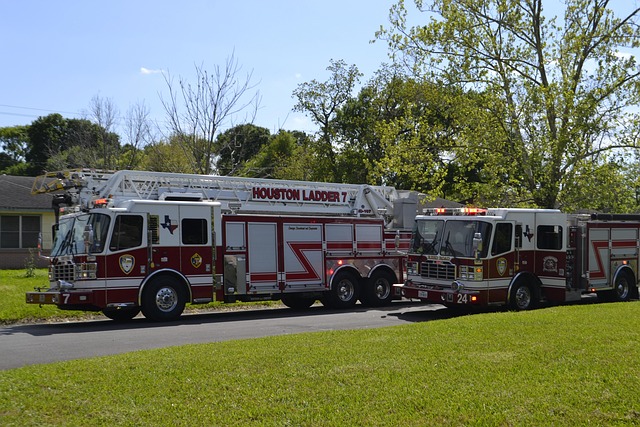 Hình ảnh minh họa ý nghĩa của từ division of powers