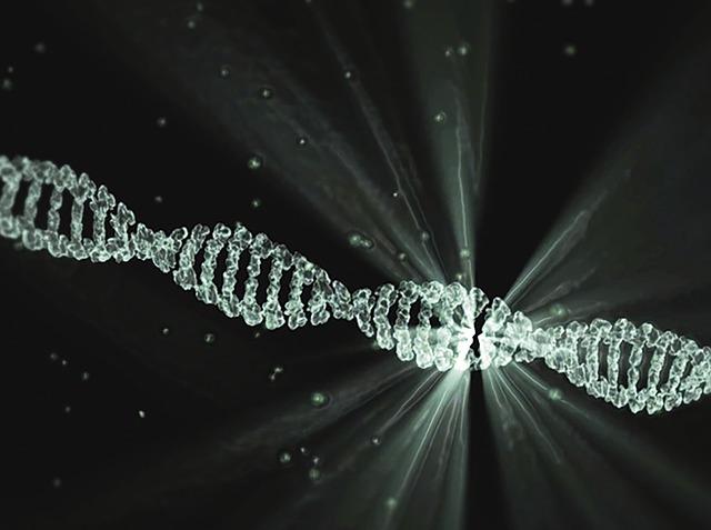 dna profiling