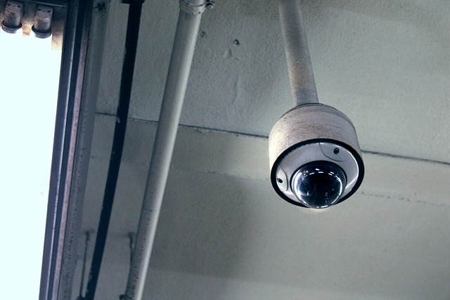 Hình ảnh minh họa ý nghĩa của từ dome camera