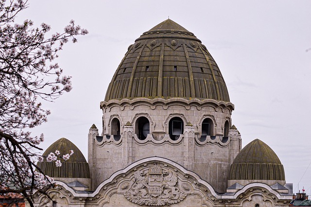 Hình ảnh minh họa ý nghĩa của từ domed