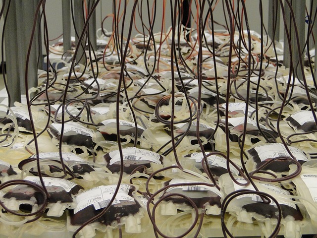 Hình ảnh minh họa ý nghĩa của từ donor