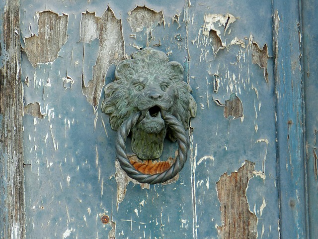 door pull