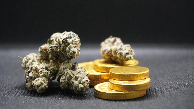 Hình minh họa droga
