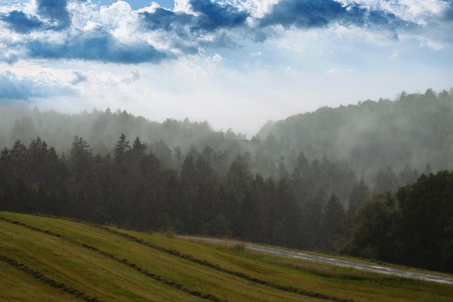 Hình ảnh minh họa ý nghĩa của từ downpouring