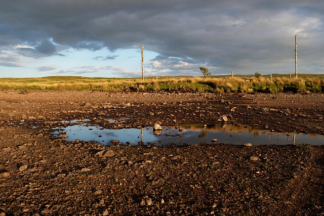 Hình ảnh minh họa ý nghĩa của từ drained