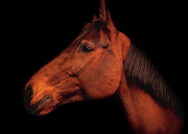 Hình ảnh minh họa ý nghĩa của từ drama