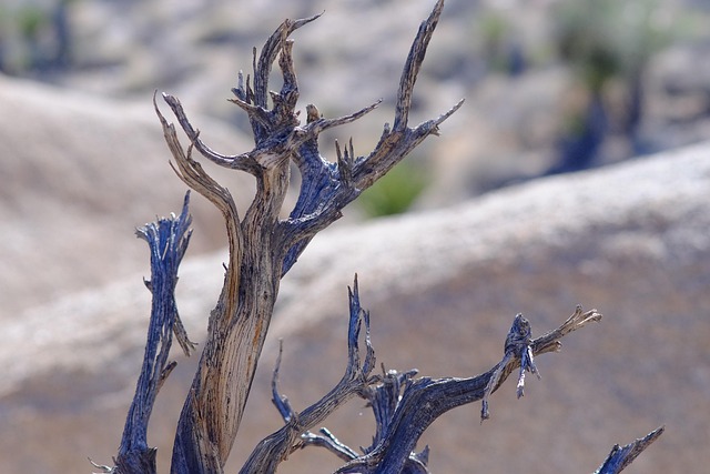 Hình ảnh minh họa ý nghĩa của từ draught