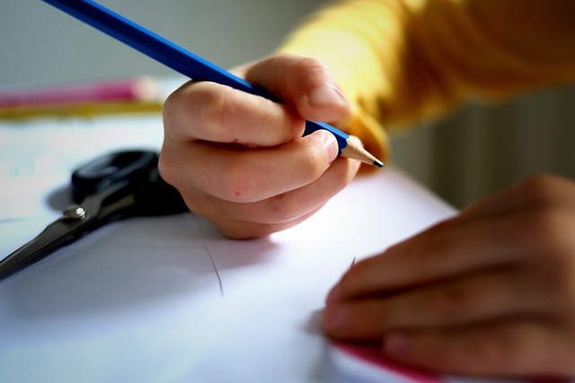 Hình minh họa opstellen