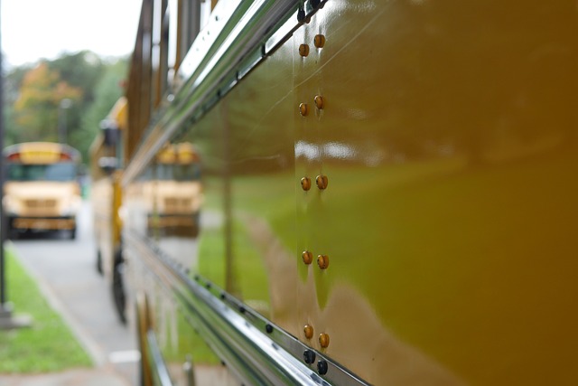 Hình ảnh minh họa ý nghĩa của từ driver education