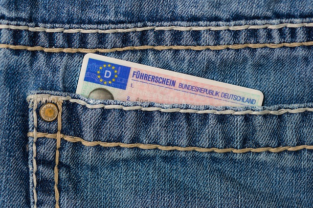 driving licence