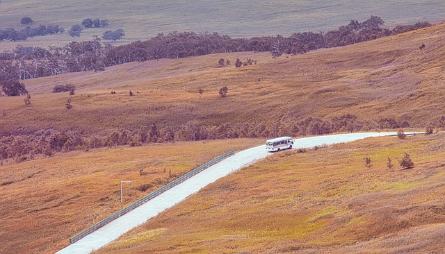 Hình ảnh minh họa ý nghĩa của từ driving tour