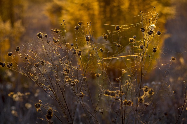 Hình ảnh minh họa ý nghĩa của từ drooling