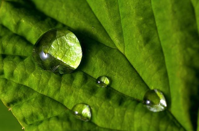 droplet