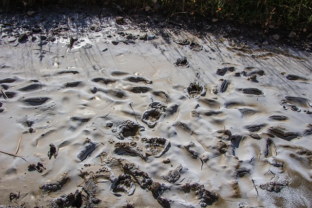 Hình ảnh minh họa ý nghĩa của từ dross