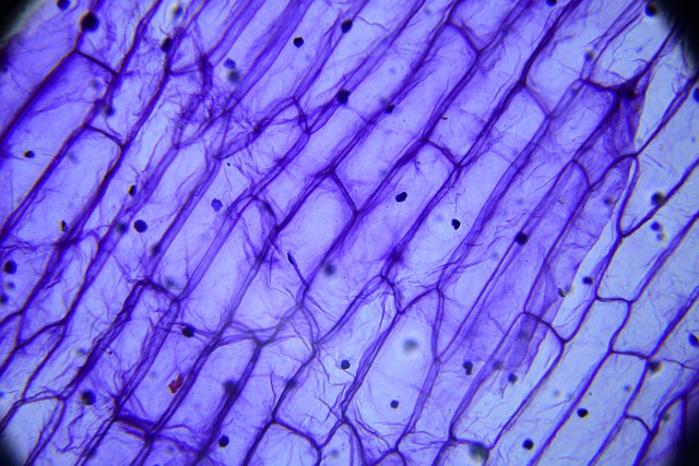 Hình ảnh minh họa ý nghĩa của từ drugged