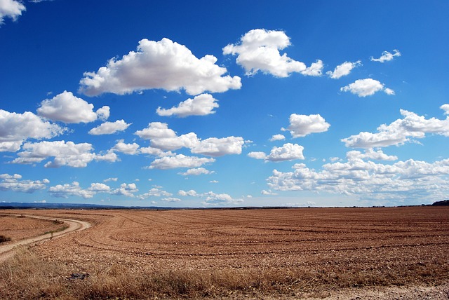 dry land