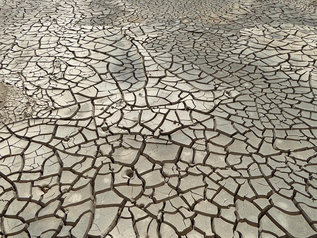 dry out