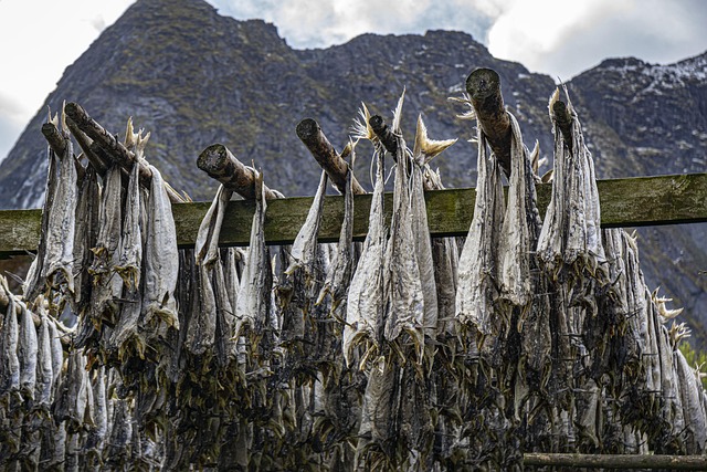 drying rack