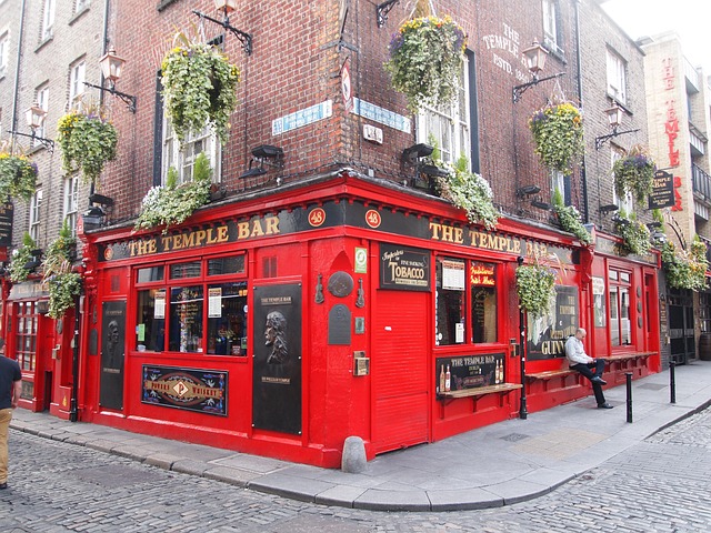 Hình ảnh minh họa ý nghĩa của từ dublin