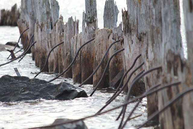 Hình ảnh minh họa ý nghĩa của từ due