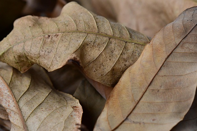 dull colors
