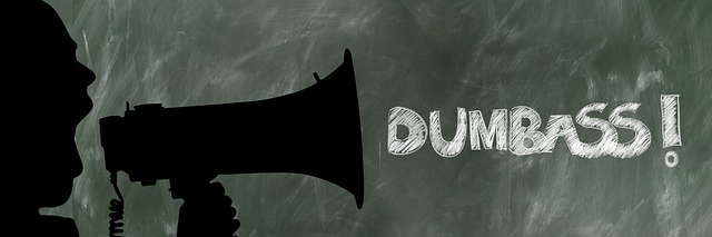 Hình ảnh minh họa ý nghĩa của từ dumbass