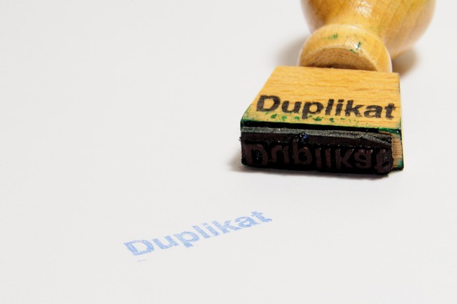 Hình ảnh minh họa ý nghĩa của từ duplicated