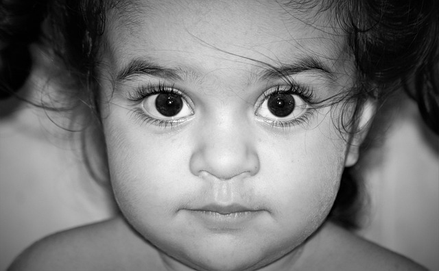 Hình ảnh minh họa ý nghĩa của từ early childhood education