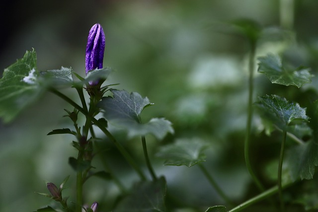 early death