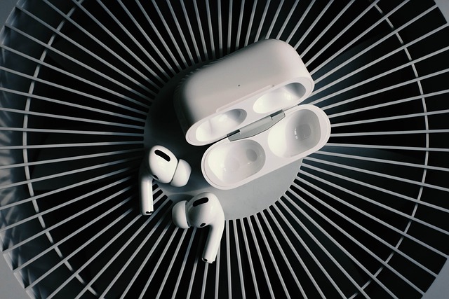 earphone