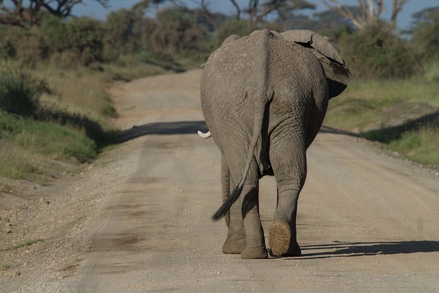 east africa