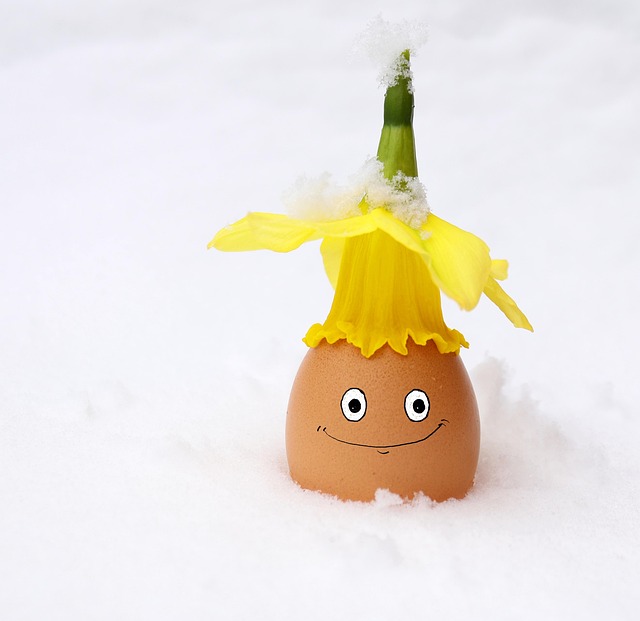 Hình ảnh minh họa ý nghĩa của từ easterly