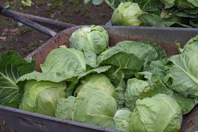 eating locally