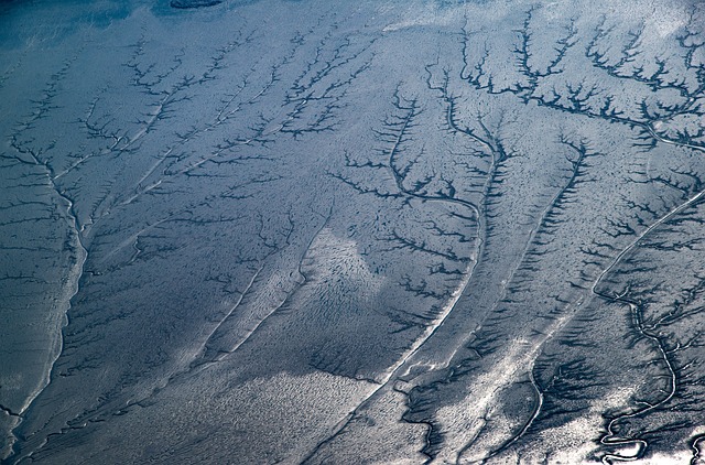 Hình ảnh minh họa ý nghĩa của từ ebb and flow