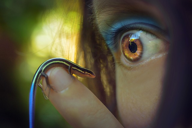 Hình ảnh minh họa ý nghĩa của từ ecological diversity