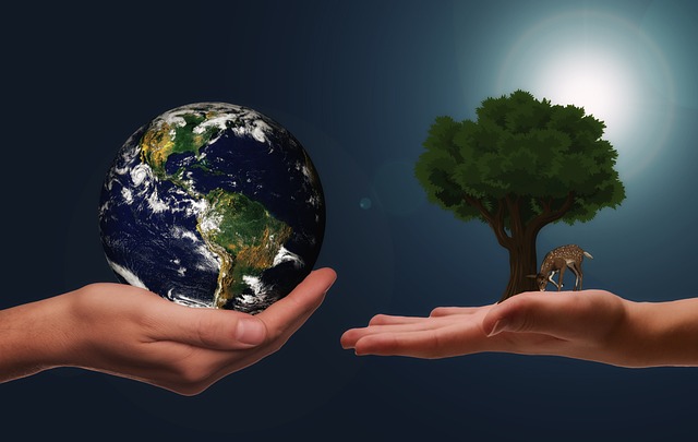 Hình ảnh minh họa ý nghĩa của từ ecological ethics
