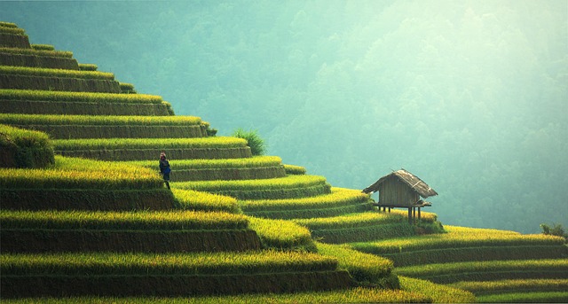 ecological farming