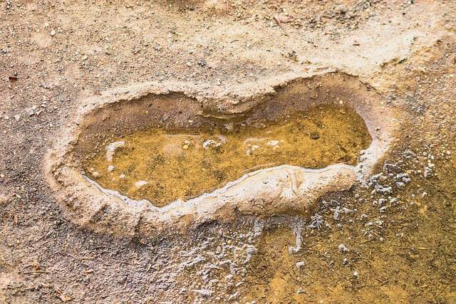 Hình ảnh minh họa ý nghĩa của từ ecological footprint