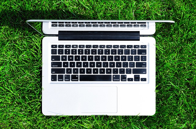 Hình ảnh minh họa ý nghĩa của từ ecological monitoring