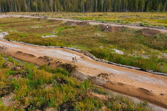 Hình ảnh minh họa ý nghĩa của từ ecological restoration