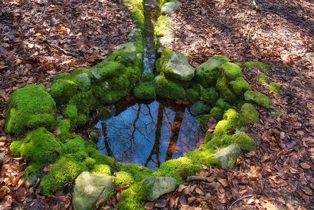 Hình ảnh minh họa ý nghĩa của từ edging