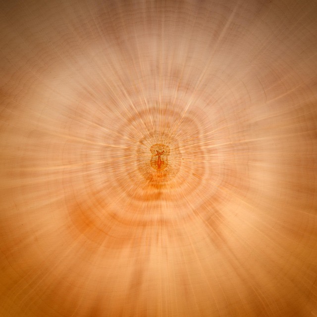 Hình ảnh minh họa ý nghĩa của từ effect magnification