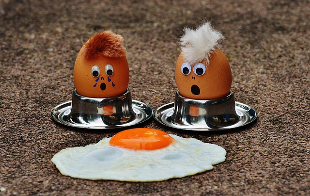 egg release