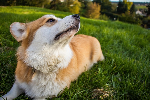 Hình ảnh minh họa ý nghĩa của từ egoist