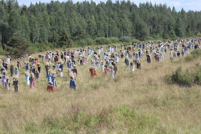 Hình ảnh minh họa ý nghĩa của từ either