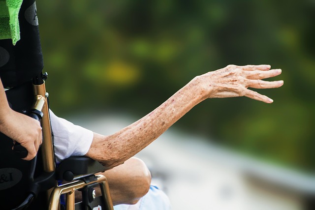 Hình ảnh minh họa ý nghĩa của từ elder care